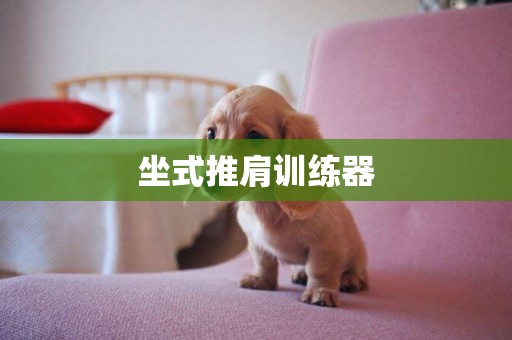 坐式推肩訓練器