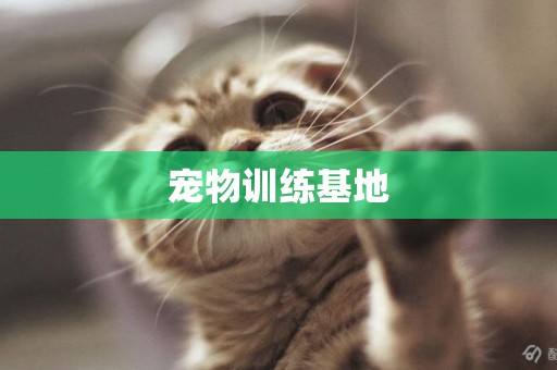 寵物訓練基地