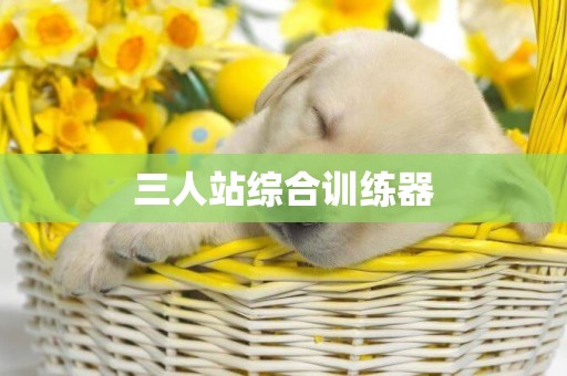 三人站綜合訓練器