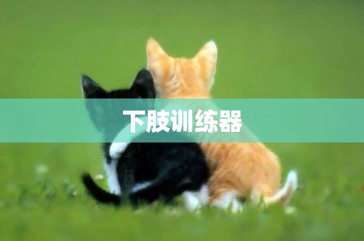 下肢訓練器