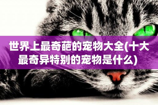 世界上最奇葩的寵物大全(十大最奇異特別的寵物是什么) 