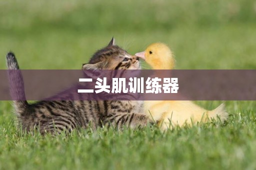 二頭肌訓練器