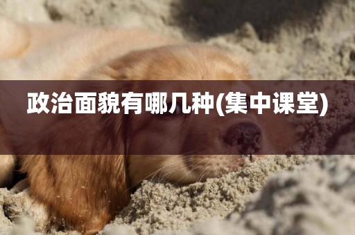 政治面貌有哪幾種(集中課堂) 