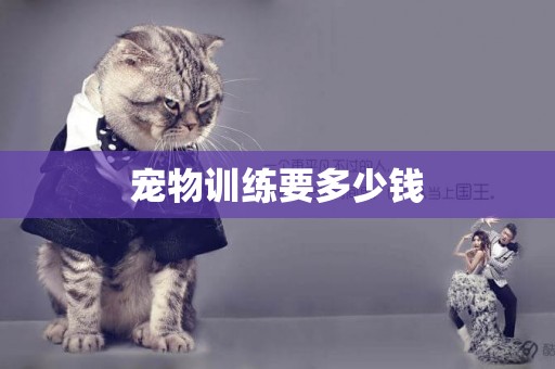 寵物訓練要多少錢