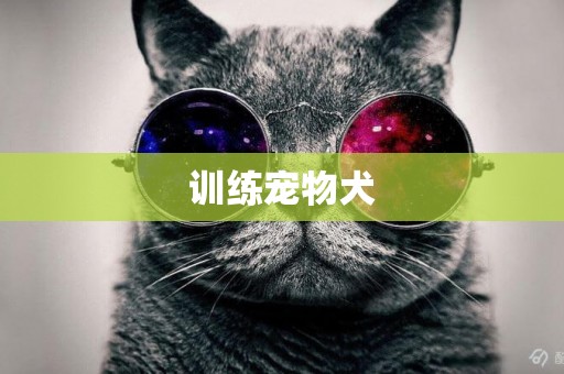 訓練寵物犬