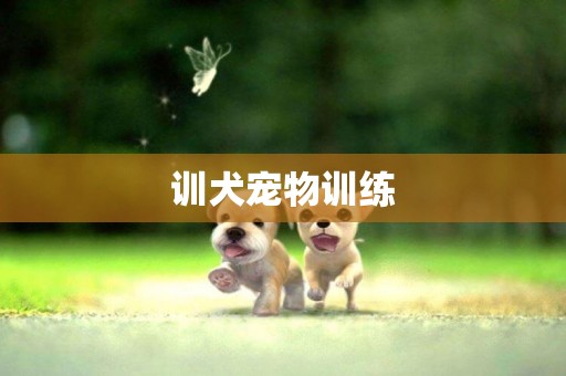 訓犬寵物訓練
