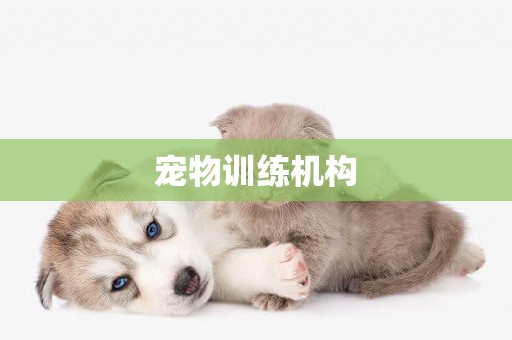 寵物訓練機構