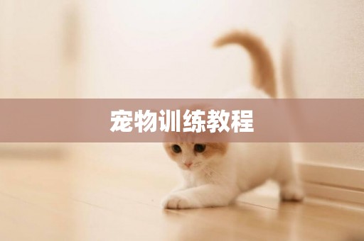 寵物訓練教程