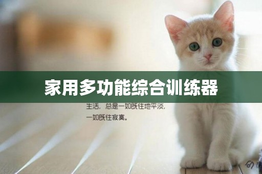 家用多功能綜合訓練器