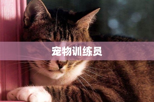 寵物訓練員