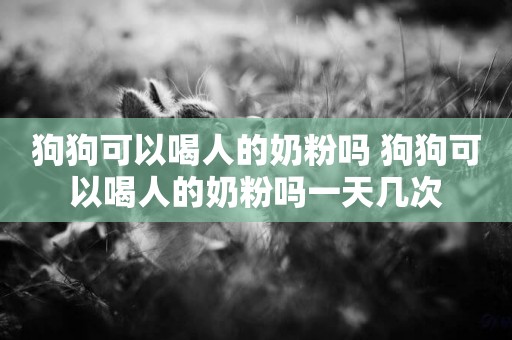 狗狗可以喝人的奶粉嗎 狗狗可以喝人的奶粉嗎一天幾次