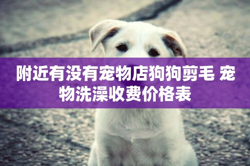 附近有沒有寵物店狗狗剪毛 寵物洗澡收費價格表