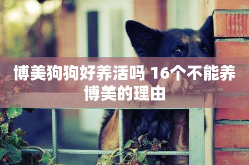 博美狗狗好養活嗎 16個不能養博美的理由