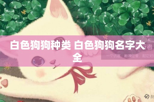 白色狗狗種類 白色狗狗名字大全