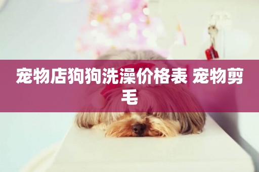 寵物店狗狗洗澡價格表 寵物剪毛