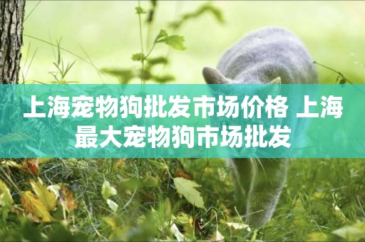 上海寵物狗批發市場價格 上海最大寵物狗市場批發