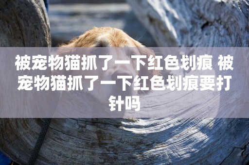 被寵物貓抓了一下紅色劃痕 被寵物貓抓了一下紅色劃痕要打針嗎