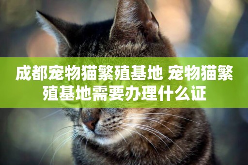 成都寵物貓繁殖基地 寵物貓繁殖基地需要辦理什么證