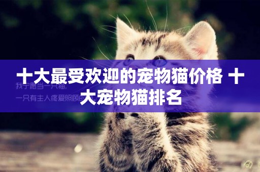 十大最受歡迎的寵物貓價格 十大寵物貓排名