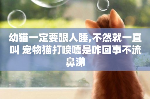 幼貓一定要跟人睡,不然就一直叫 寵物貓打噴嚏是咋回事不流鼻涕