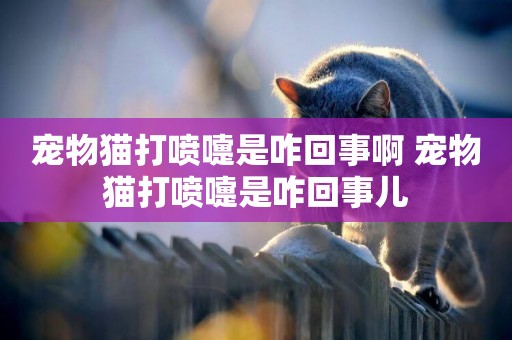 寵物貓打噴嚏是咋回事啊 寵物貓打噴嚏是咋回事兒