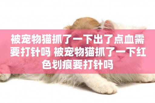 被寵物貓抓了一下出了點血需要打針嗎 被寵物貓抓了一下紅色劃痕要打針嗎