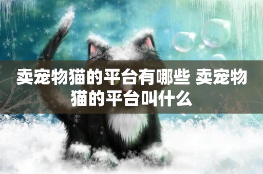 賣寵物貓的平臺有哪些 賣寵物貓的平臺叫什么