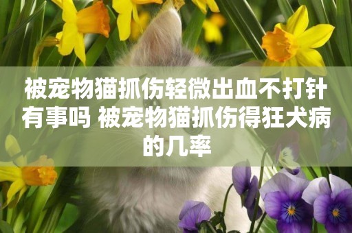 被寵物貓抓傷輕微出血不打針有事嗎 被寵物貓抓傷得狂犬病的幾率