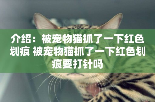 介紹：被寵物貓抓了一下紅色劃痕 被寵物貓抓了一下紅色劃痕要打針嗎