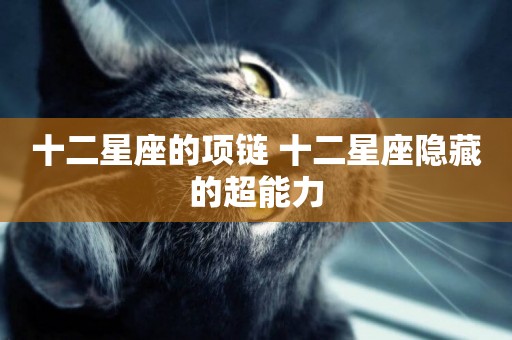 十二星座的項鏈 十二星座隱藏的超能力
