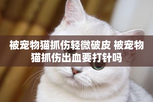 被寵物貓抓傷輕微破皮 被寵物貓抓傷出血要打針嗎