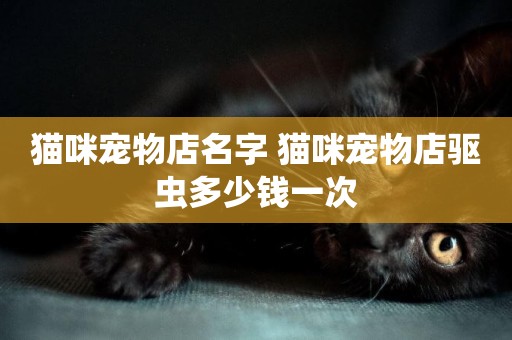 貓咪寵物店名字 貓咪寵物店驅蟲多少錢一次