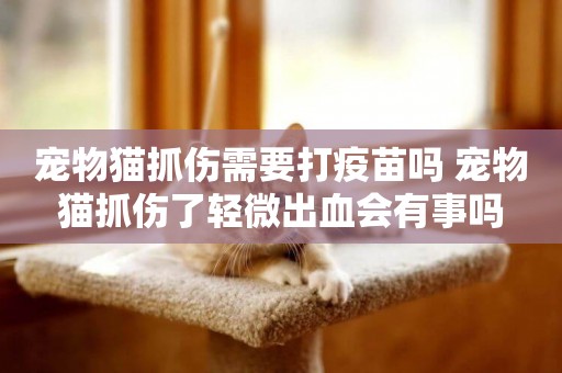 寵物貓抓傷需要打疫苗嗎 寵物貓抓傷了輕微出血會有事嗎