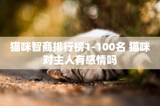 貓咪智商排行榜1-100名 貓咪對主人有感情嗎