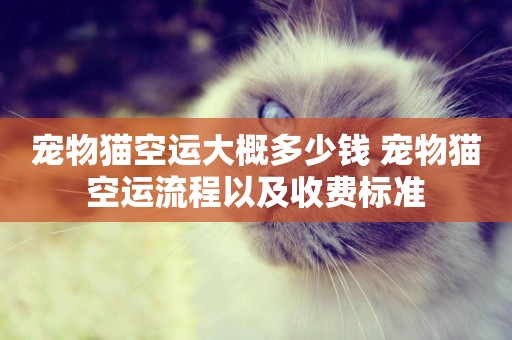 寵物貓空運大概多少錢 寵物貓空運流程以及收費標準