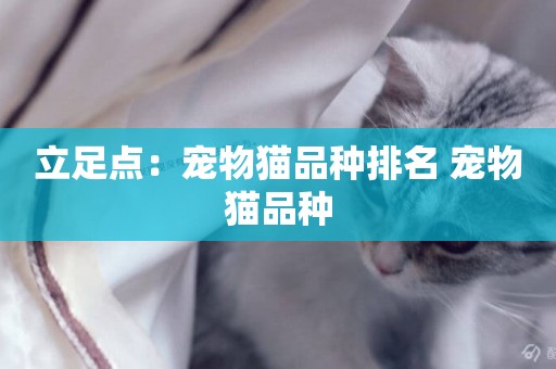 立足點：寵物貓品種排名 寵物貓品種