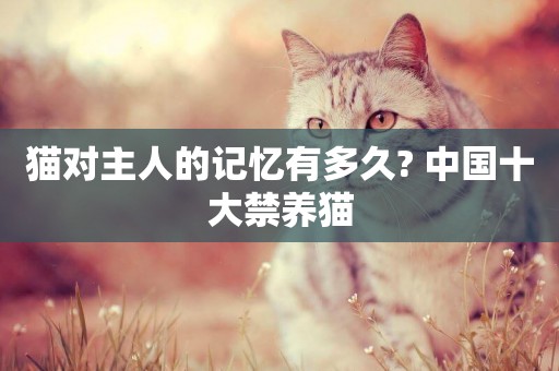 貓對主人的記憶有多久? 中國十大禁養貓