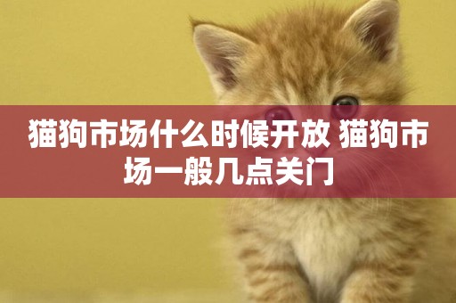 貓狗市場什么時候開放 貓狗市場一般幾點關門