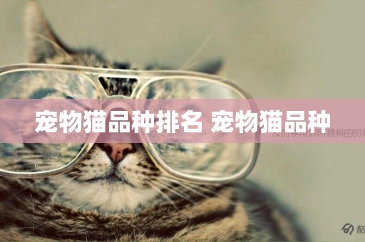 寵物貓品種排名 寵物貓品種