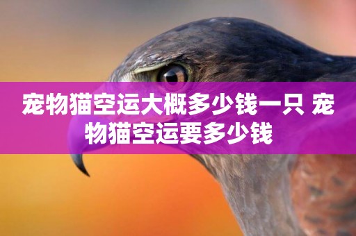 寵物貓空運大概多少錢一只 寵物貓空運要多少錢