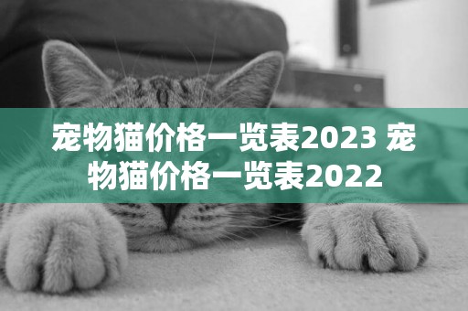寵物貓價格一覽表2023 寵物貓價格一覽表2022