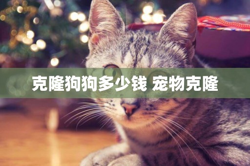 克隆狗狗多少錢 寵物克隆