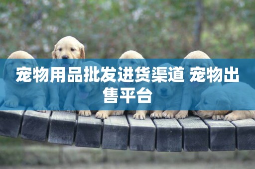 寵物用品批發進貨渠道 寵物出售平臺