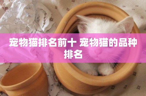 寵物貓排名前十 寵物貓的品種排名