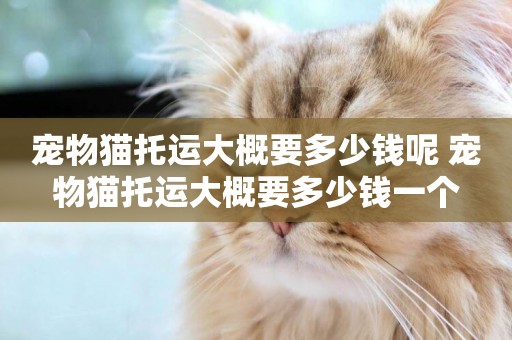 寵物貓托運大概要多少錢呢 寵物貓托運大概要多少錢一個