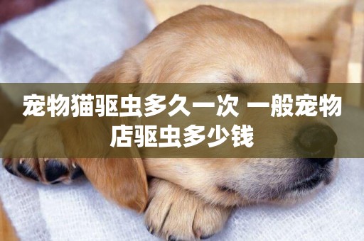 寵物貓驅蟲多久一次 一般寵物店驅蟲多少錢