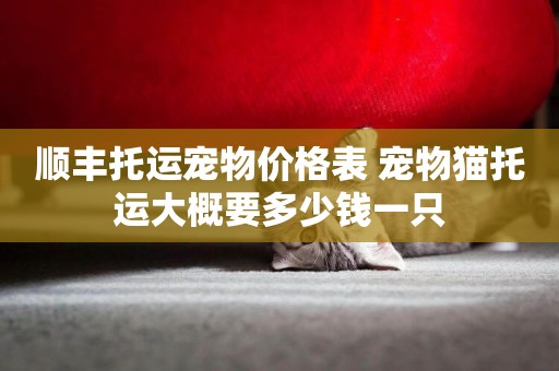 順豐托運寵物價格表 寵物貓托運大概要多少錢一只