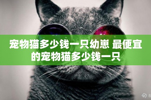 寵物貓多少錢一只幼崽 最便宜的寵物貓多少錢一只