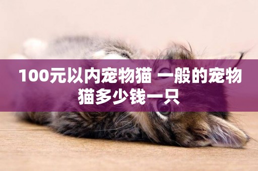 100元以內寵物貓 一般的寵物貓多少錢一只