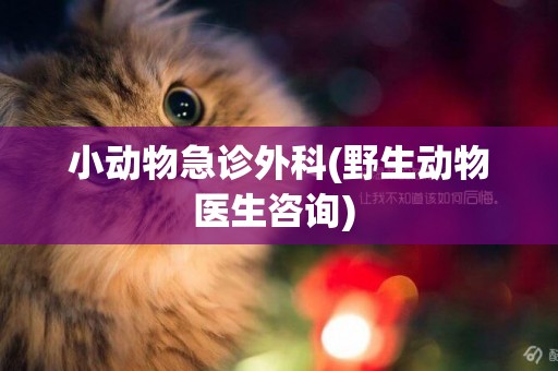 小動物急診外科(野生動物醫生咨詢) 